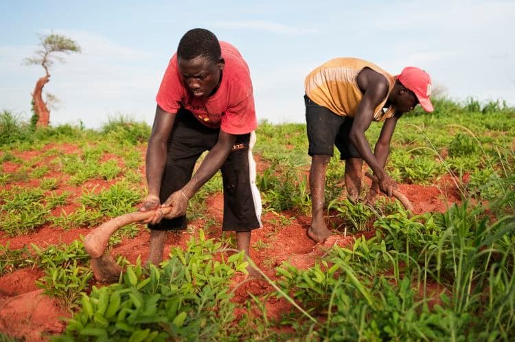 For Farmers